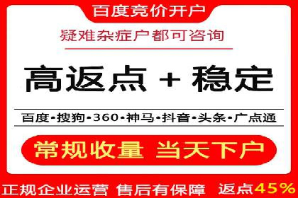 竞价广告案例分析：品牌成功之道